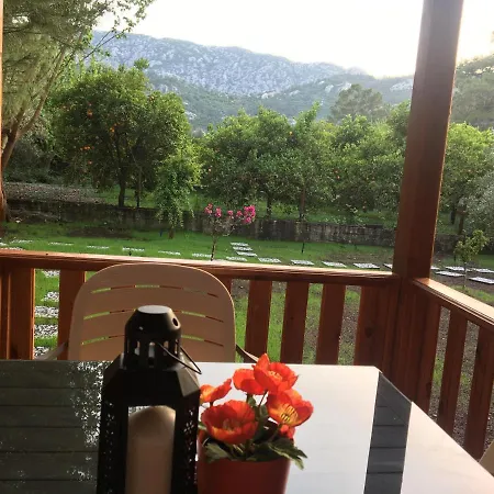 Homestay szállás Seker Bungalov