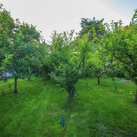 Homestay szállás Seker Bungalov *