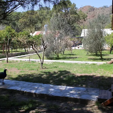 Homestay szállás Seker Bungalov